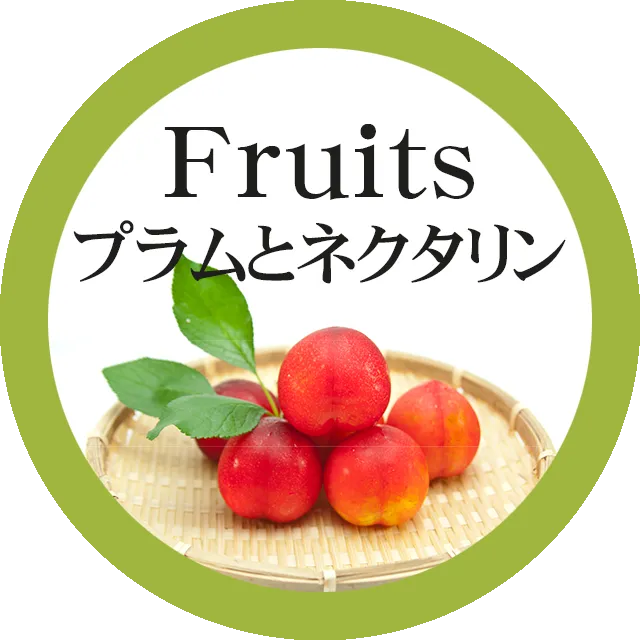 Menu-Fruits